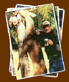 Home Page Image